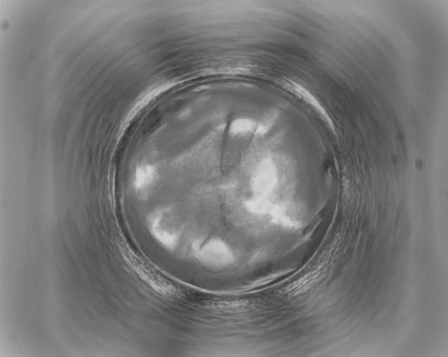 X0000059231035200511041236