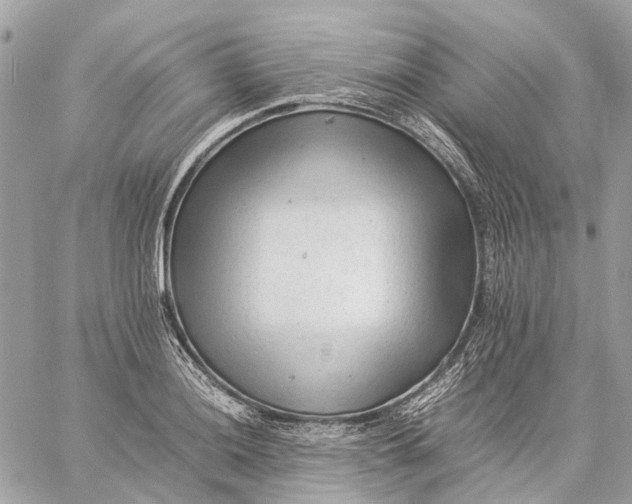 X0000059231036200511041236