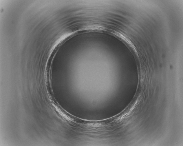 X0000059231037200511041236