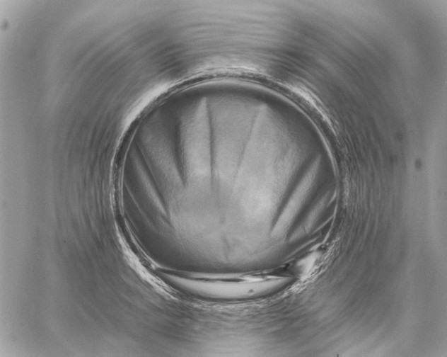 X0000059231038200511041236