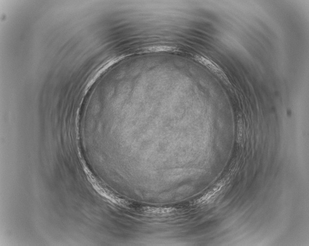 X0000059231039200511041236