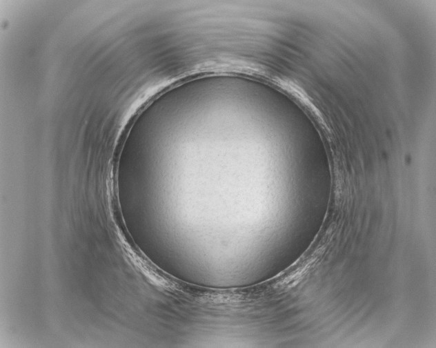 X0000059231040200511041236