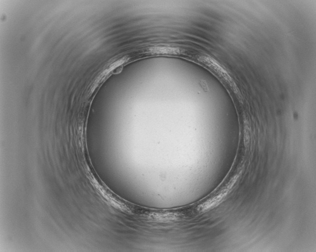 X0000059231041200511041236