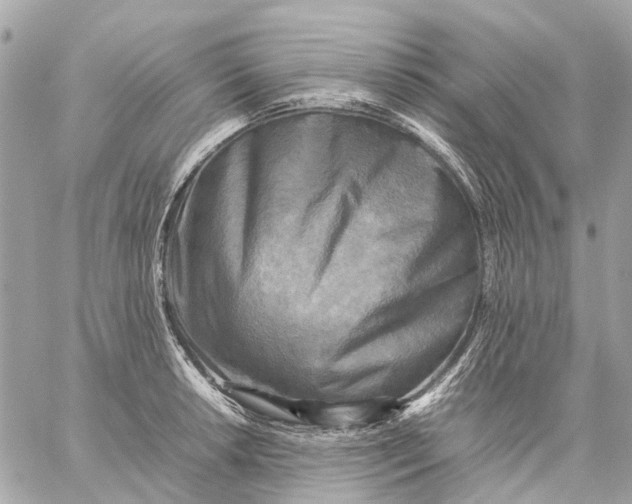 X0000059231042200511041236