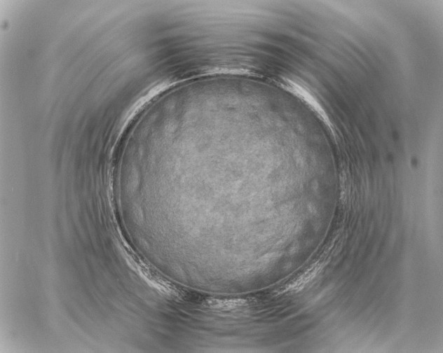 X0000059231043200511041236