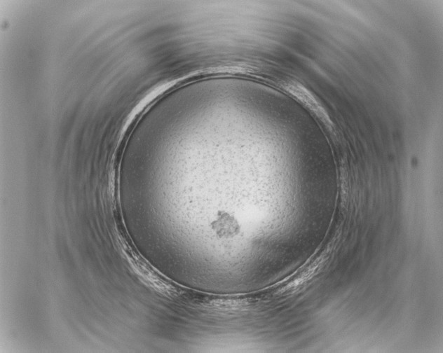 X0000059231044200511041236