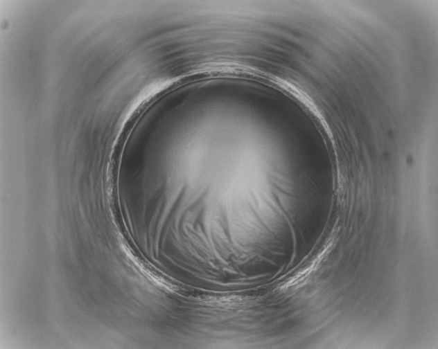 X0000059231045200511041236