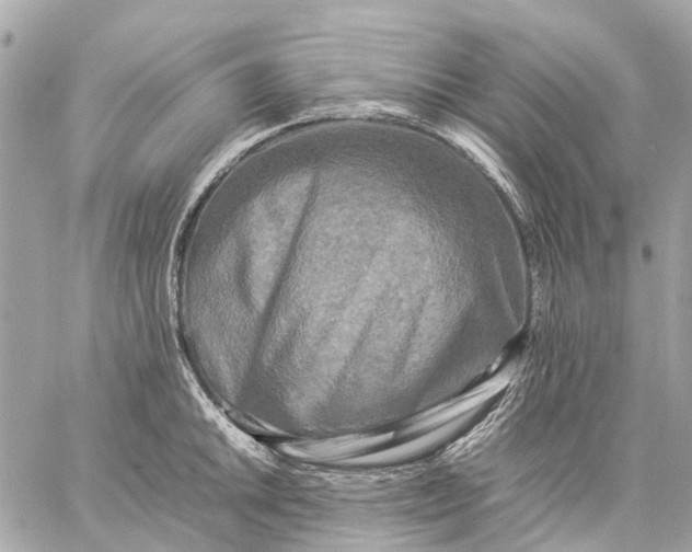 X0000059231046200511041236