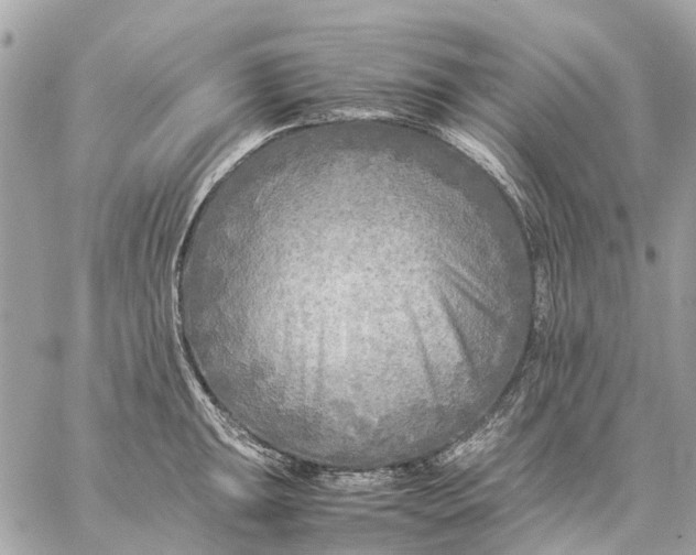 X0000059231047200511041237