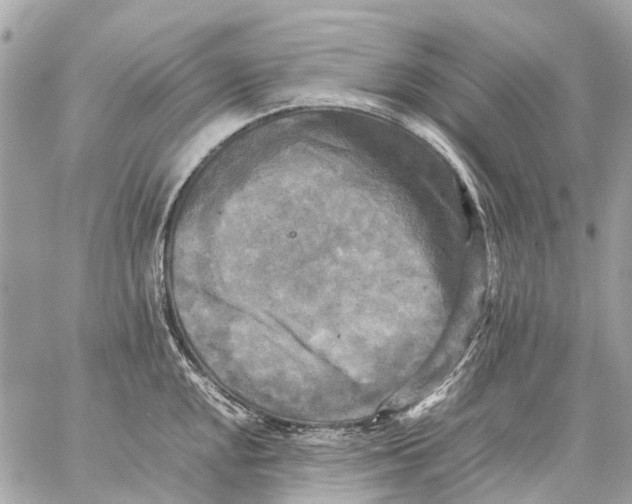 X0000059231048200511041237