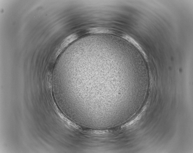 X0000059231049200511041237