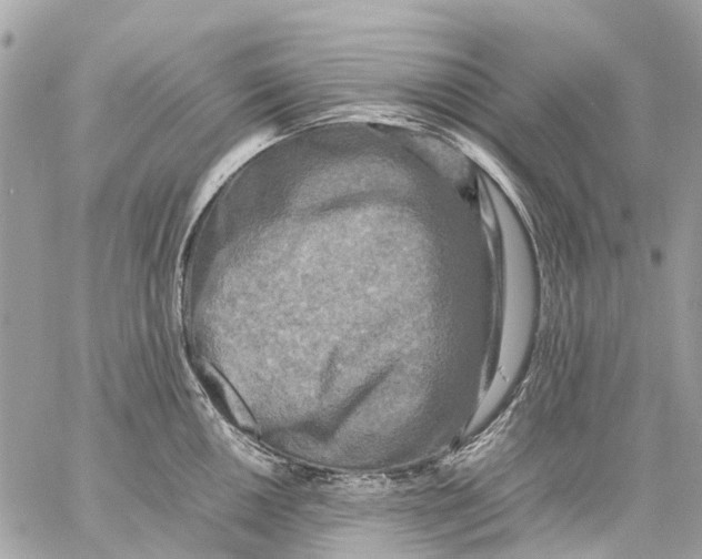 X0000059231050200511041237