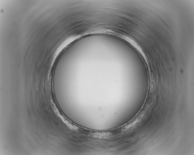 X0000059231053200511041237