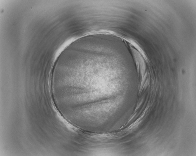 X0000059231054200511041237