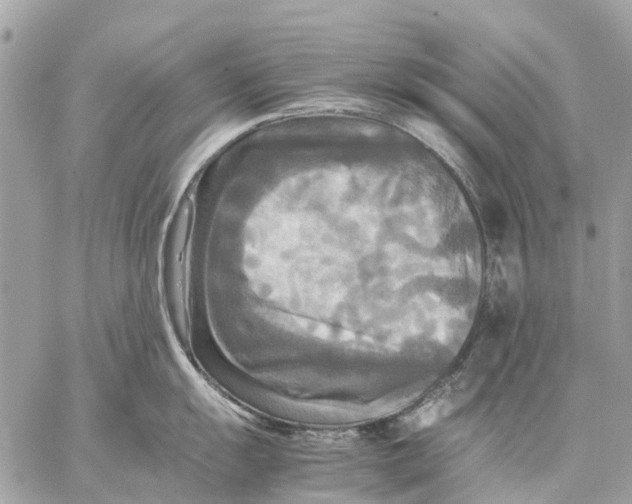 X0000059231055200511041237