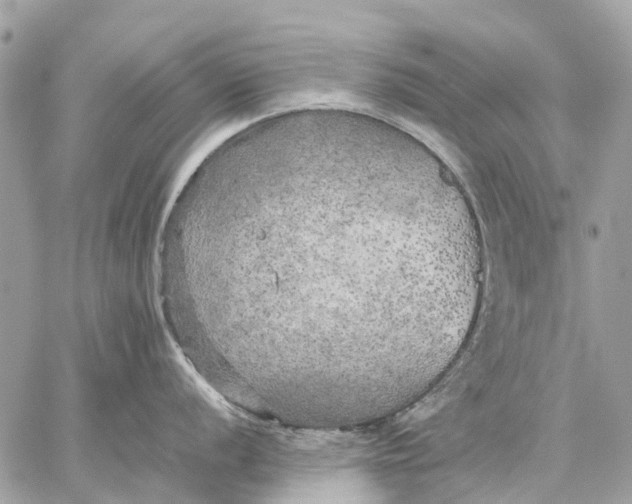 X0000059231056200511041237