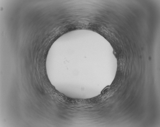 X0000059231057200511041236