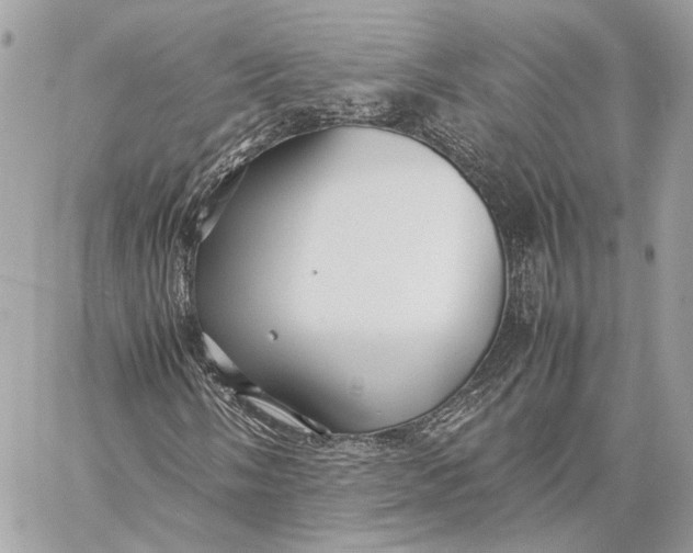 X0000059231058200511041236