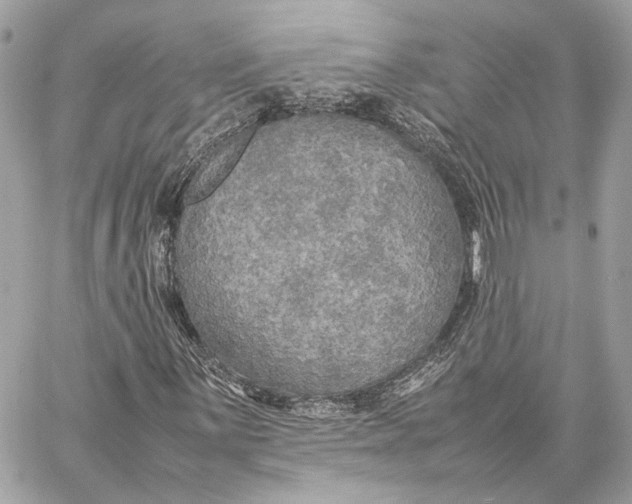 X0000059231059200511041236