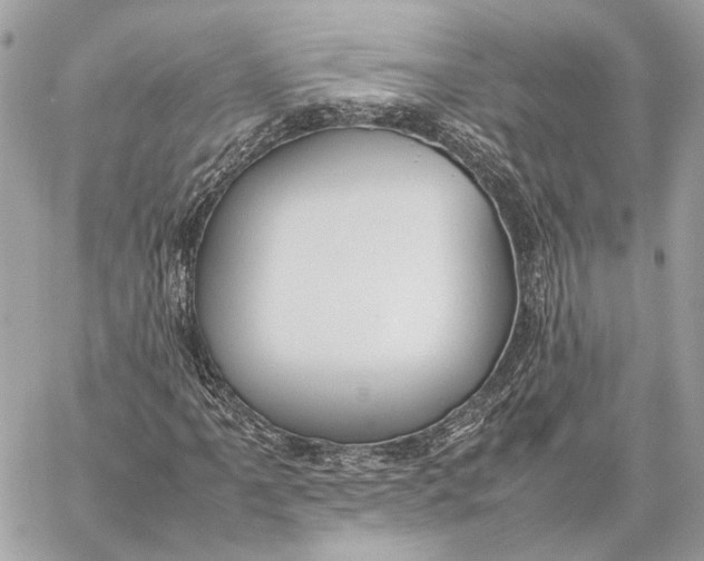 X0000059231061200511041236