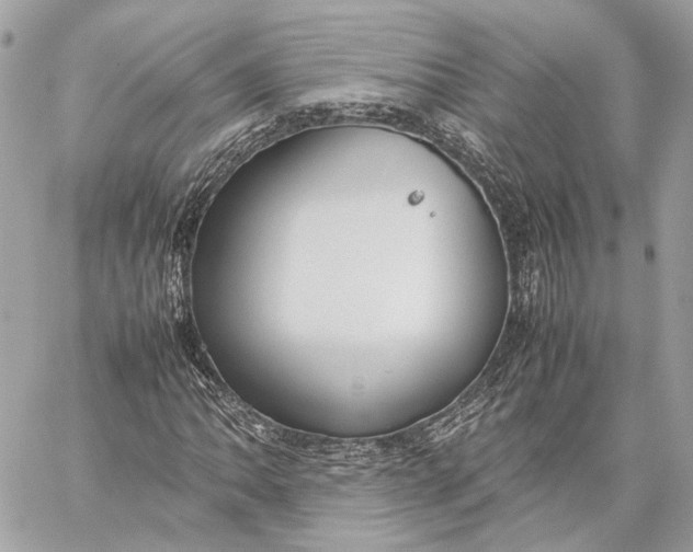 X0000059231062200511041236