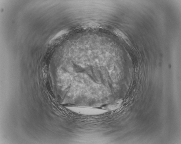 X0000059231063200511041236