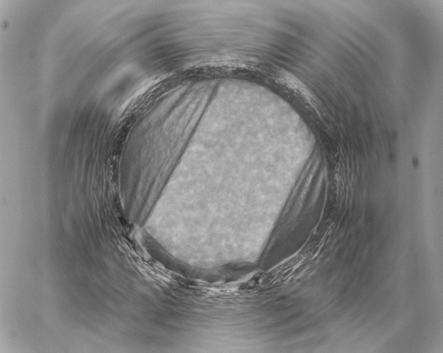 X0000059231064200511041236