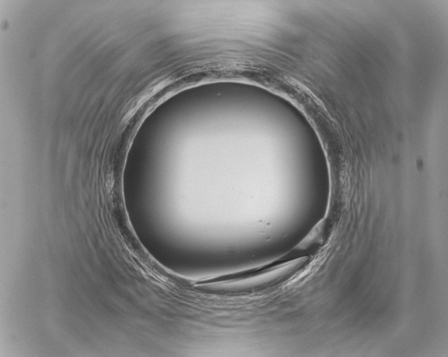 X0000059231065200511041236