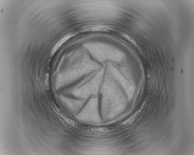 X0000059231066200511041236