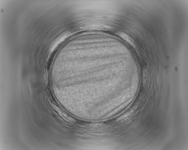 X0000059231067200511041236