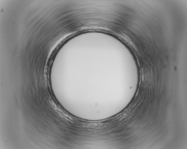 X0000059231068200511041236