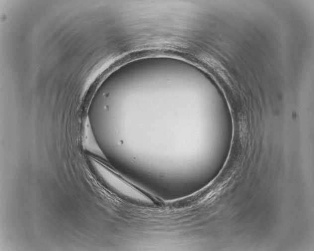 X0000059231069200511041236