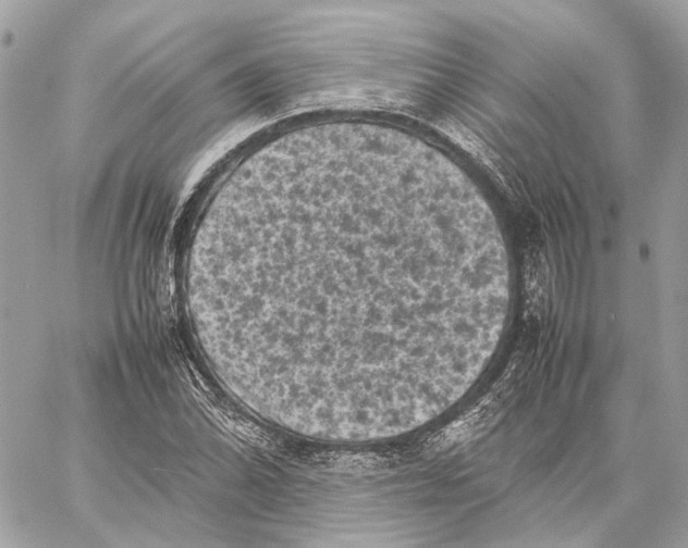 X0000059231070200511041236