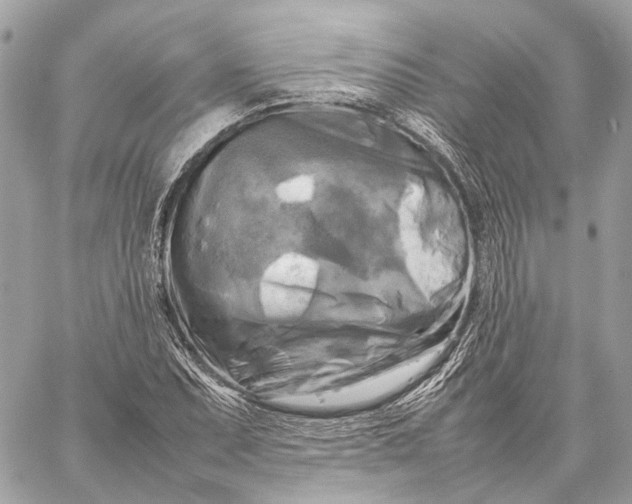 X0000059231071200511041236