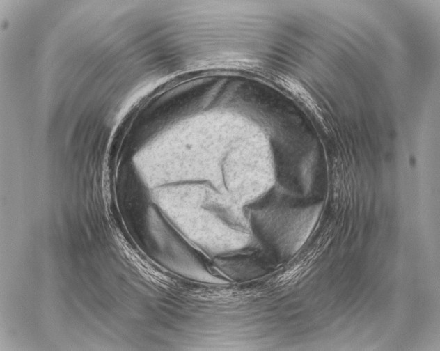 X0000059231072200511041236