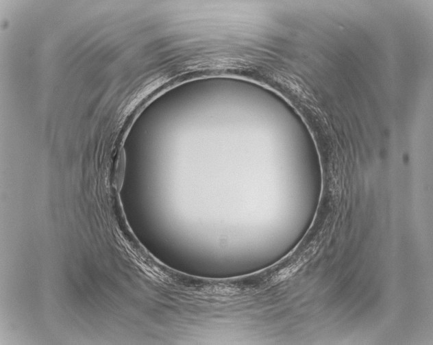 X0000059231073200511041236