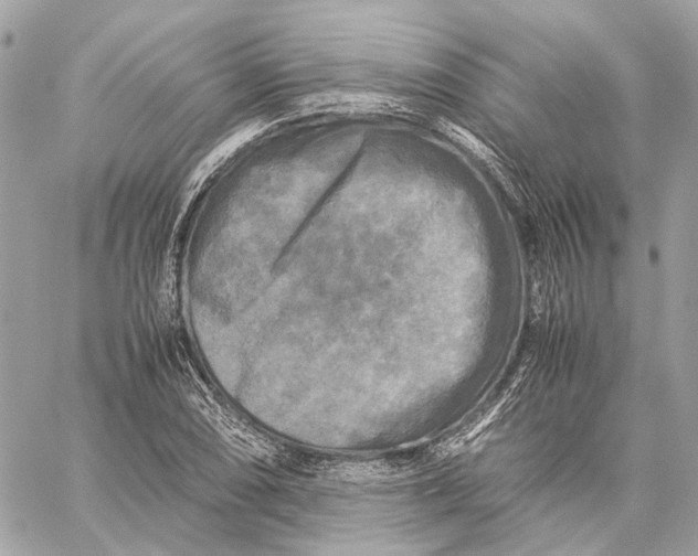 X0000059231074200511041236