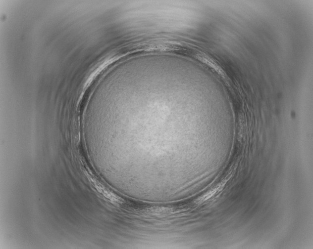 X0000059231075200511041236