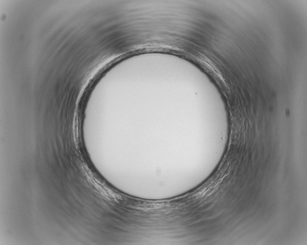 X0000059231076200511041236