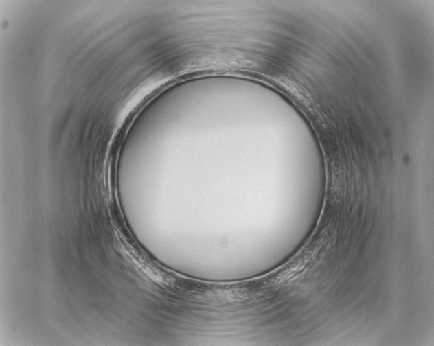 X0000059231078200511041236