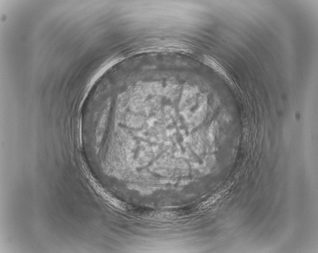 X0000059231079200511041235