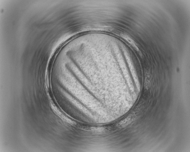 X0000059231080200511041235