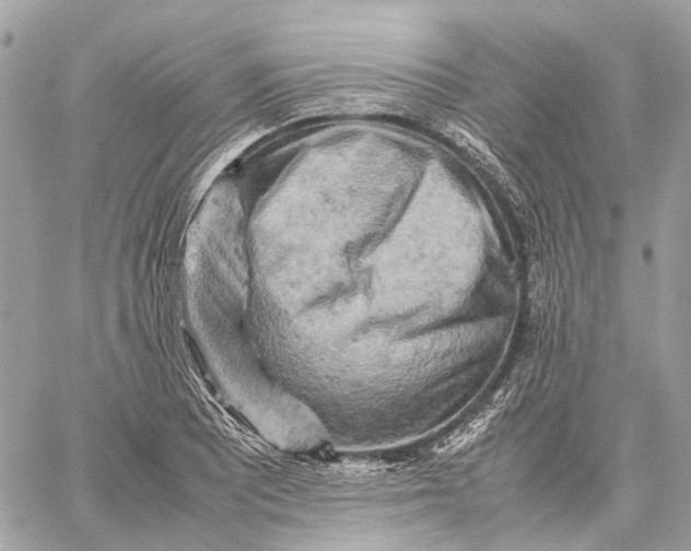 X0000059231081200511041235