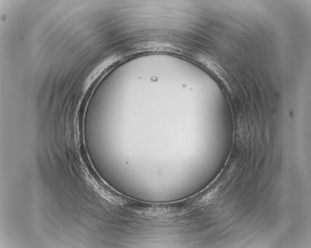 X0000059231082200511041235