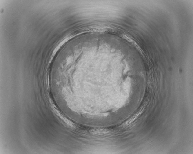 X0000059231083200511041235