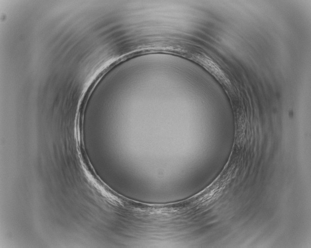 X0000059231084200511041235