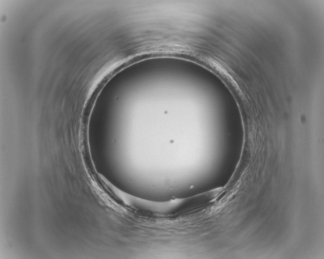 X0000059231085200511041235