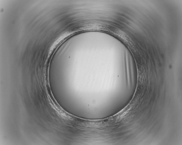 X0000059231086200511041235