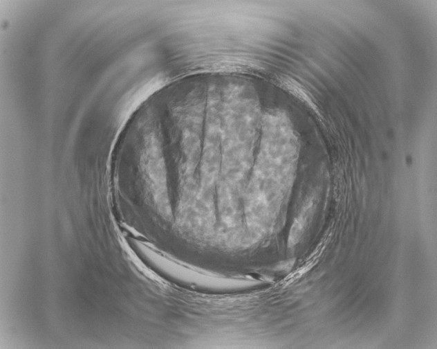 X0000059231087200511041235