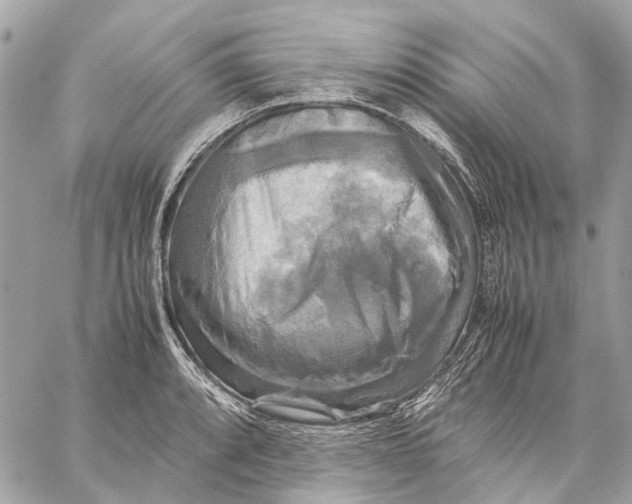 X0000059231088200511041235